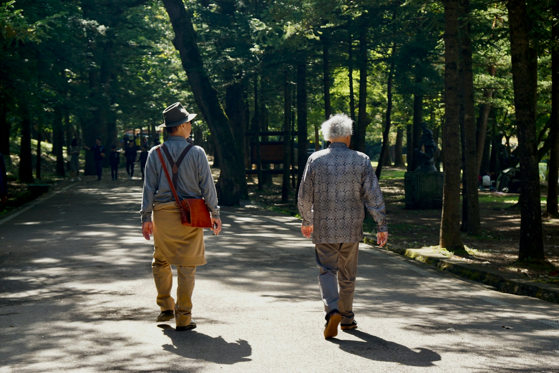 Cardio for older adults with walking exercise